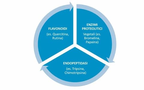 La terapia enzimatica: componenti base e utilizzo clinico