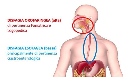 Disfagia e presbifagia secondaria