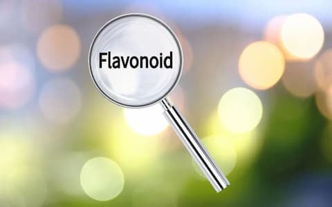 I flavonoidi nella terapia enzimatica