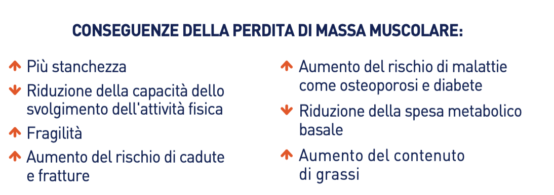 Massa Muscolare